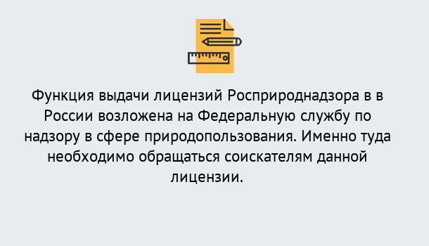 Почему нужно обратиться к нам? Лесной Лицензия Росприроднадзора. Под ключ! в Лесной