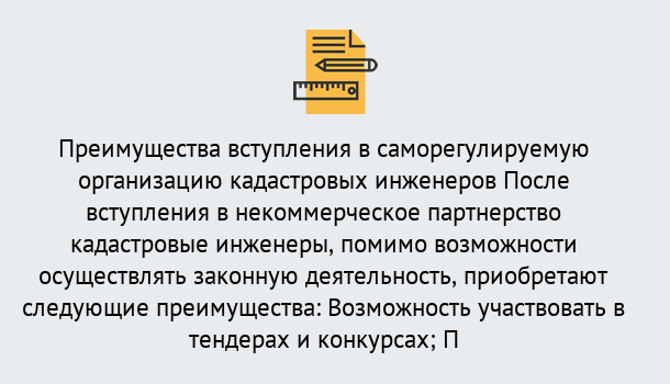 Почему нужно обратиться к нам? Лесной Что дает допуск СРО кадастровых инженеров?