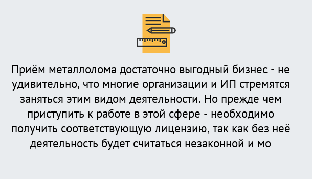 Почему нужно обратиться к нам? Лесной Лицензия на металлолом. Порядок получения лицензии. В Лесной