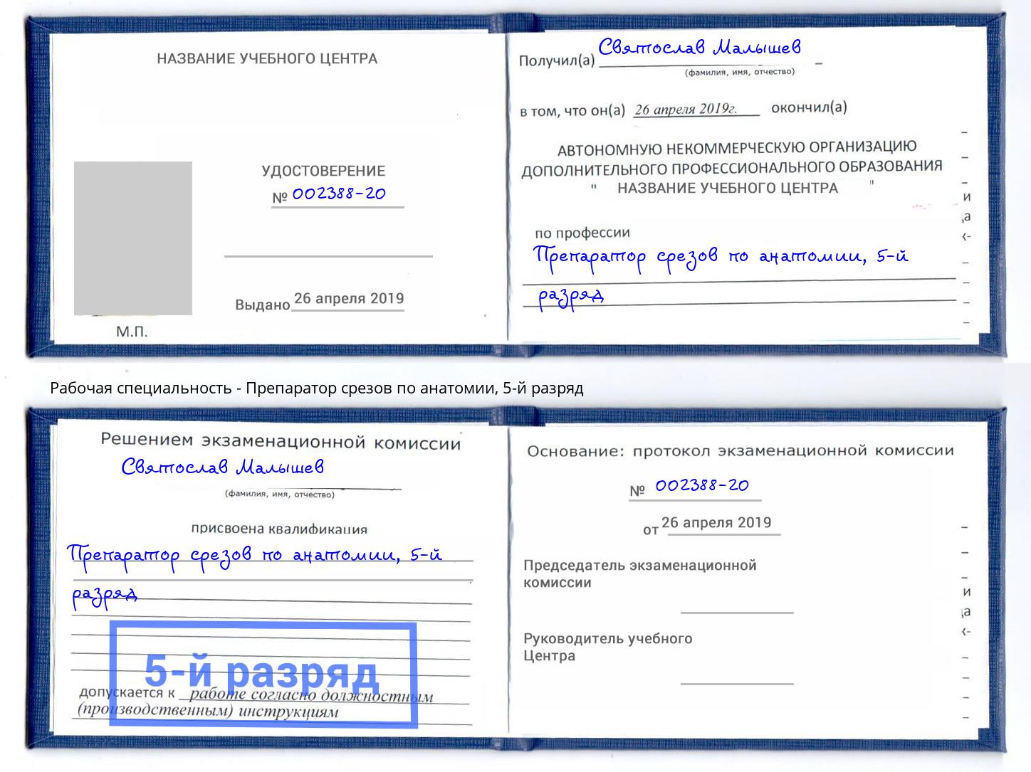 корочка 5-й разряд Препаратор срезов по анатомии Лесной