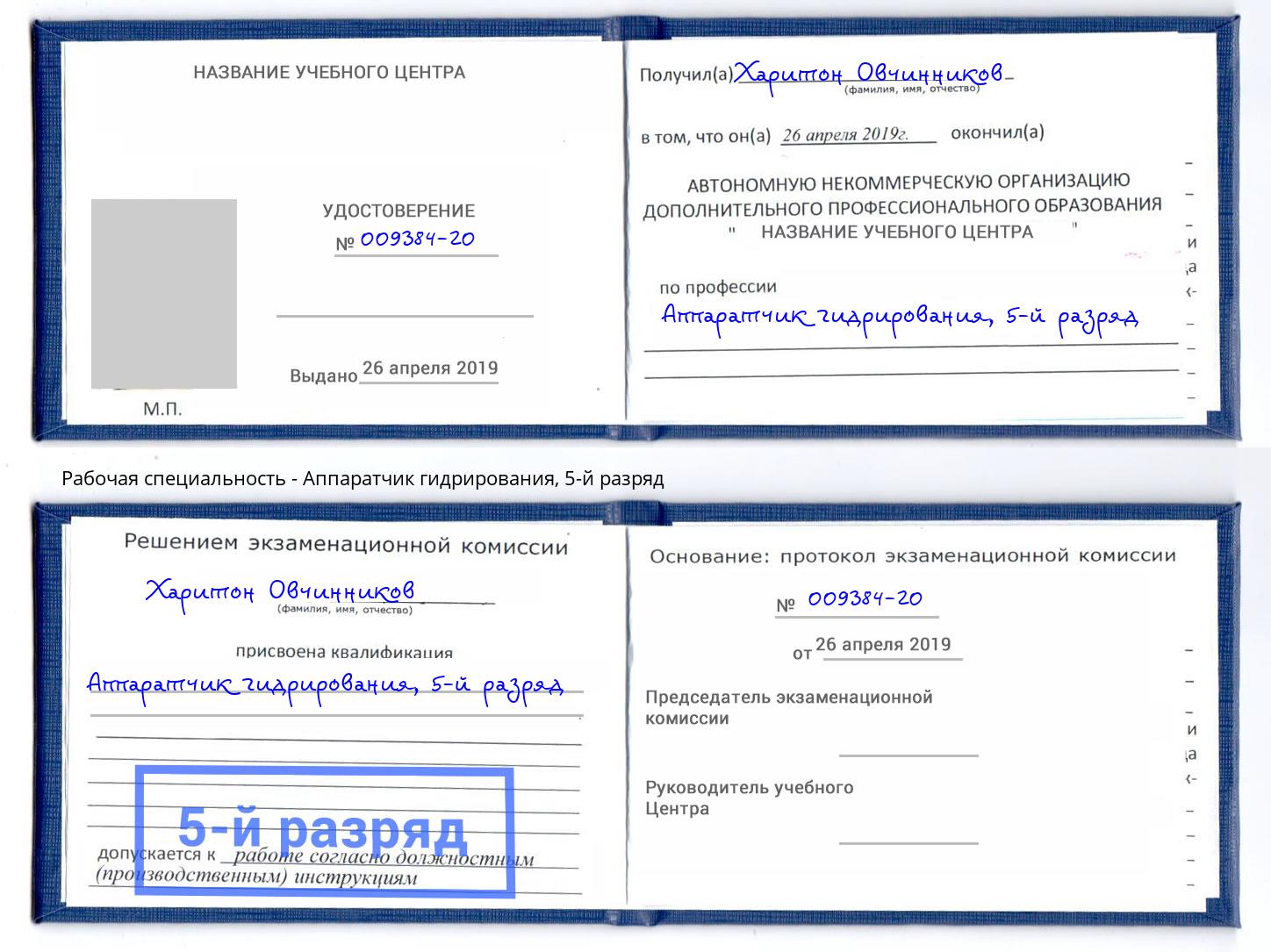 корочка 5-й разряд Аппаратчик гидрирования Лесной
